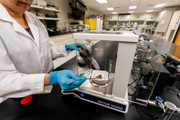Research scientist holding spoonful of powder over dish inside machine in lab