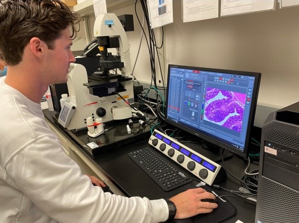 Undergraduate looking at tissue samples on monitor. 